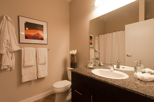 Suite Type A: Ensuite Bathroom